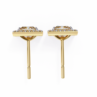 Golden Brilliance Earrings